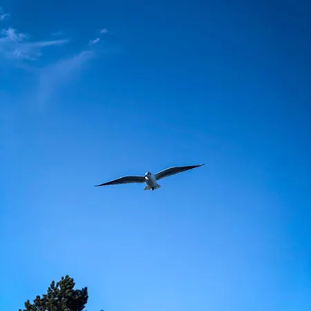 Ostseeblick * Gluecksburg