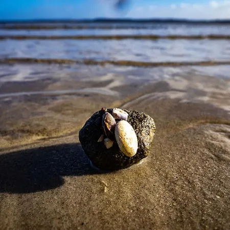 Holiday home Ostseeblick
