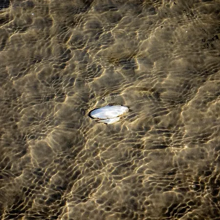 Ostseeblick * Gluecksburg